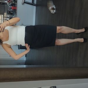 Pencil dress skirt